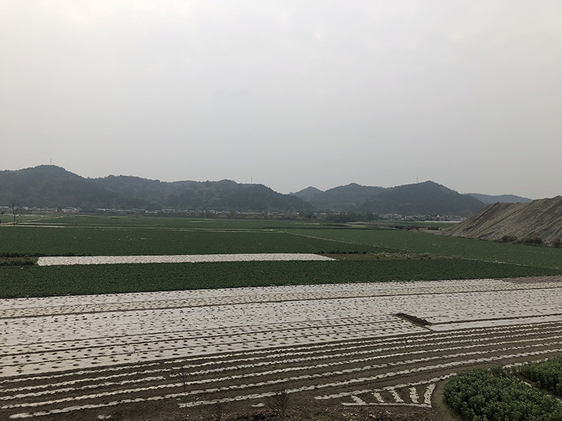 市、县领导现场调研QY千亿国际50万吨玻瓶项目(图7) 市、县领导现场调研QY千亿国际50万吨玻瓶项目(图7)